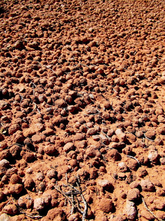 Thousands of small concretions