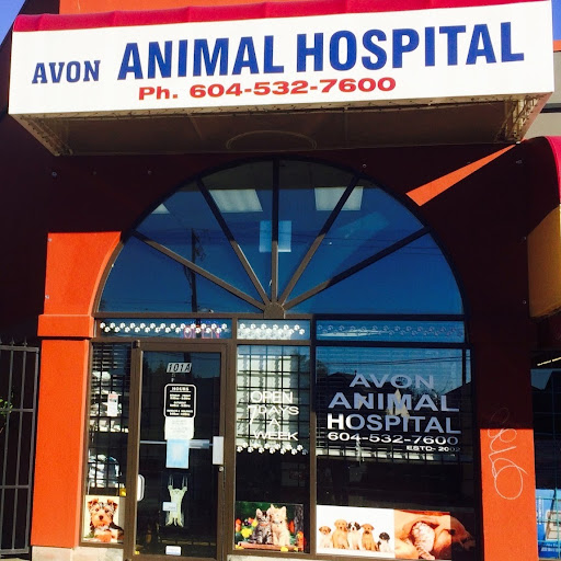 Avon Animal Hospital | Best Pet Clinic & Veterinarians in Surrey & Langley | After hour on call service logo