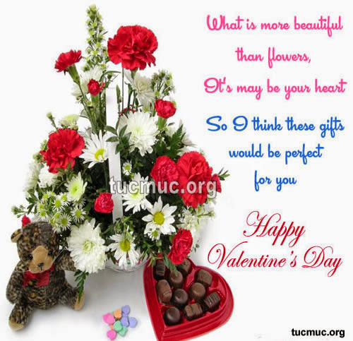 Valentine Day Pictures 