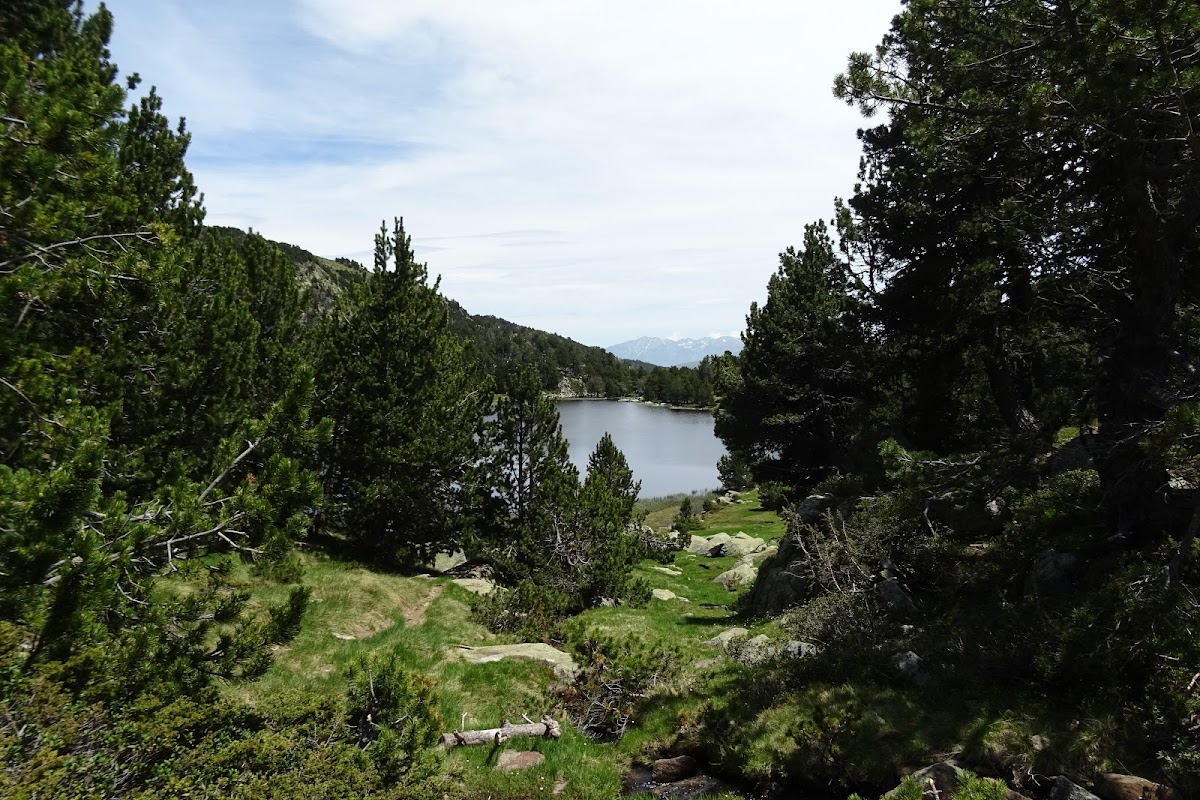 DSC02464.JPG