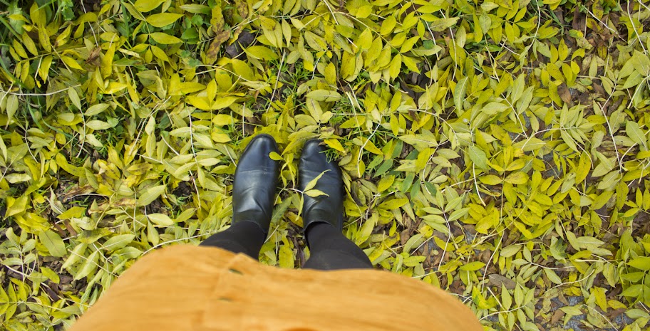 autumn leafs