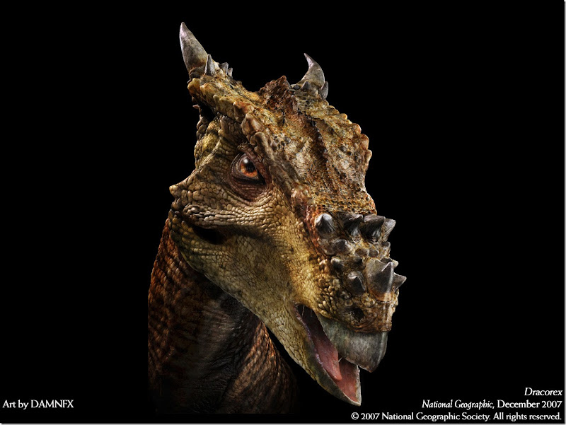 Dracorex