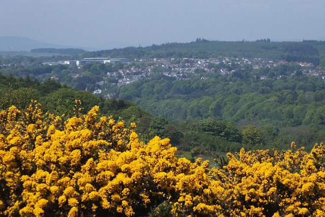 Views from Kincorth Hill