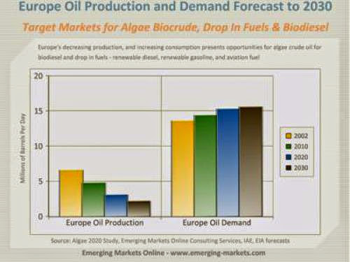 Leading Zurcal In Renewable Energy