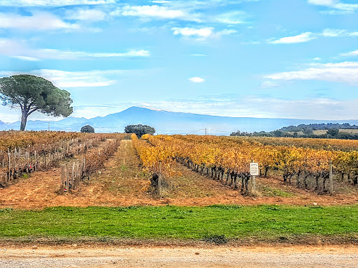 Domaine de Nalys