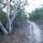 A nice scene along the Topham track (156817)