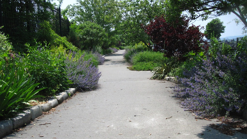 Waterfront Garden