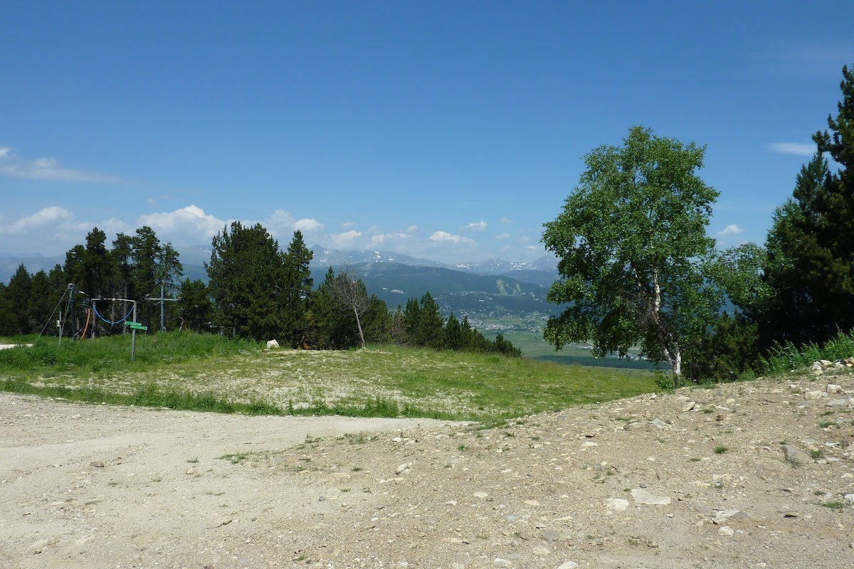 P1010875.JPG