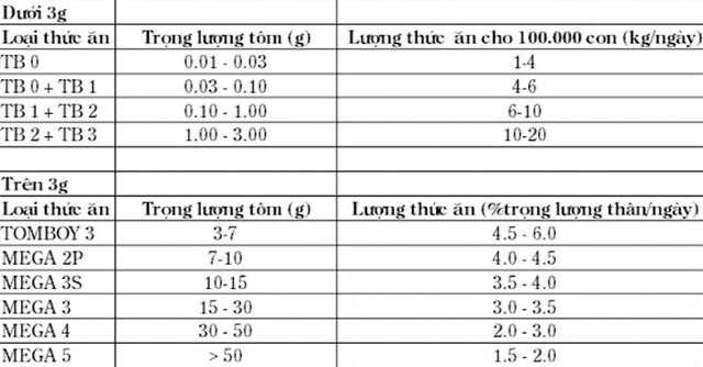 Kỹ thuật ương, nuôi tôm càng xanh trong ao đất - 5673be6410261