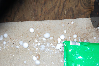 golf ball sized hail