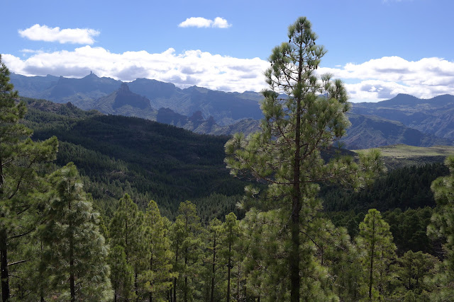 GRAN CANARIA MAR Y MONTE - Blogs de España - ARTENARA Y PARQUE NATURAL DE TAMADABA (9)