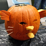 pumpkin carvings in Etobicoke, Canada 