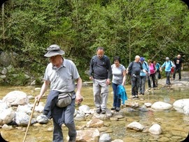 Colla dels Bufets d'Olot