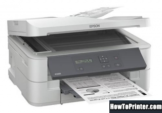 Reset Epson K301 printer by Resetter program