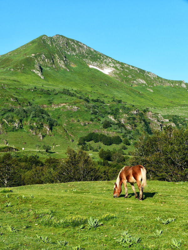 monts du Cantal P1070896