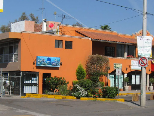 Acuarios Profesionales de Aguascalientes, Plaza Los Arcos, General Miguel Barragán 1500, Gremial, 20030 Aguascalientes, Ags., México, Tienda de acuarios | AGS