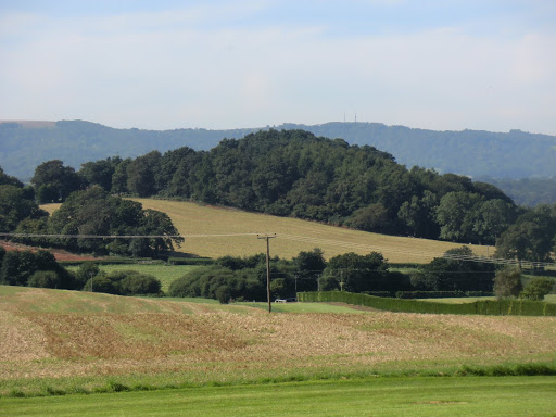 CIMG3984 Park Mound from The Gallops