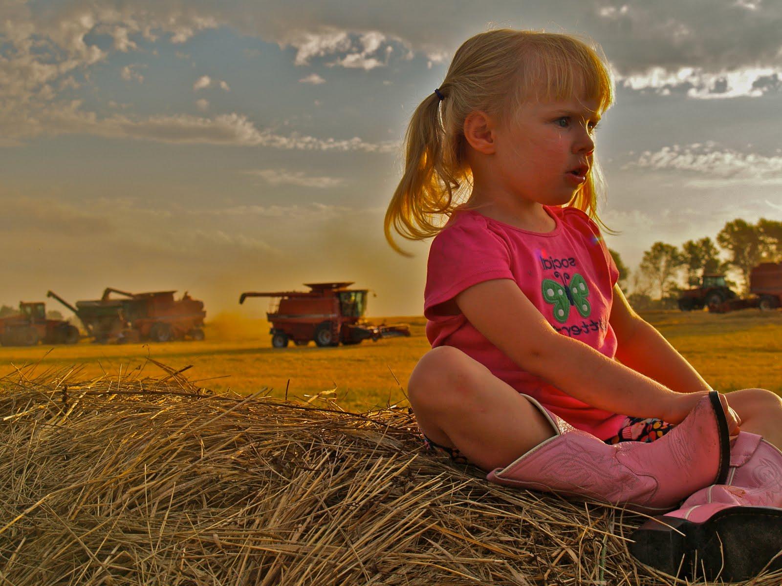 row of hay bales.