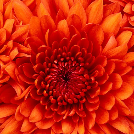 Annonces & événements de edurand96