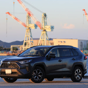 RAV4 AXAH52