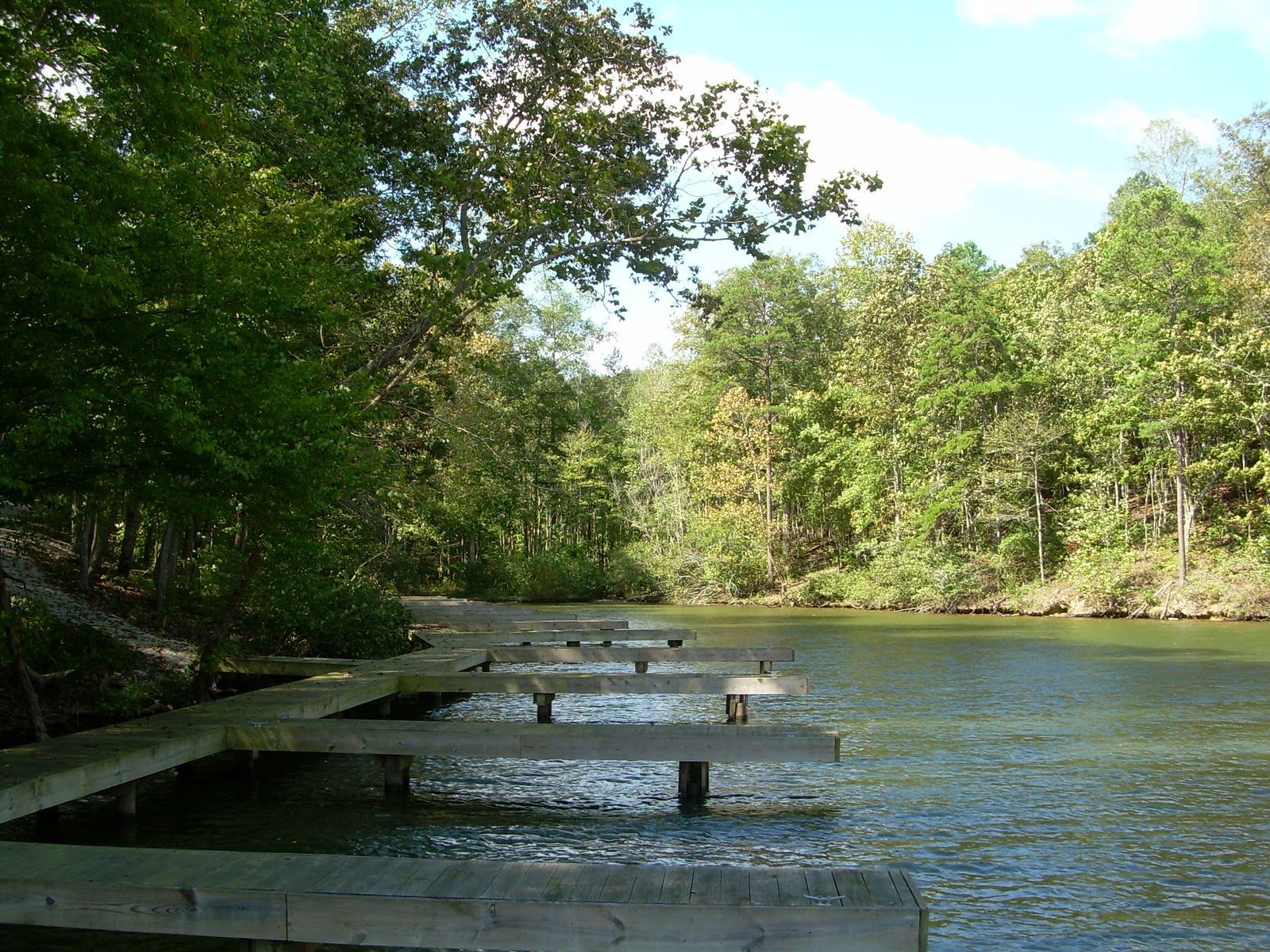 Watts Bar Lake Musings Lake Access Lot in Emerald Pointe Circle