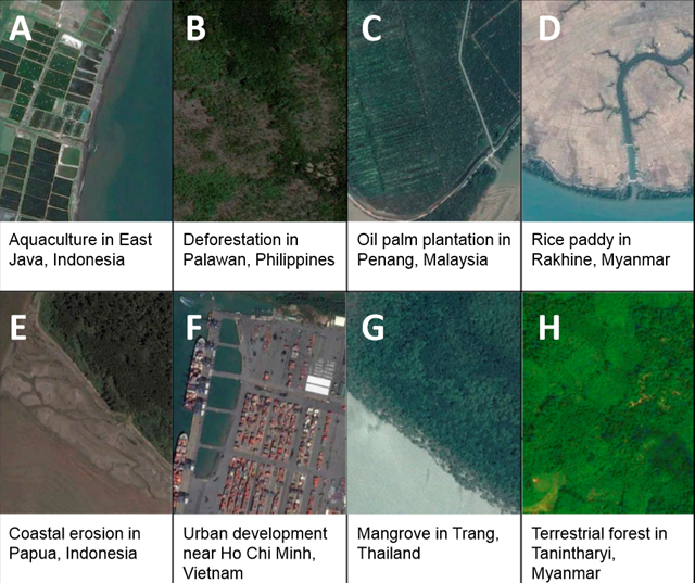 Examples of the eight coastal land cover and land use types that served as reference categories to classify deforested mangrove patches. The eight land uses were: (A) aquaculture ponds, (B) recent deforestation, (C) oil palm plantation, (D) rice paddy, (E) coastal erosion, (F) urban development, (G) mangrove forest, and (H) terrestrial forest. Variable scales. Graphic: Richards and Friess, 2015 / PNAS