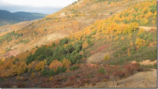 La Montaña en Otoño (1)[10]