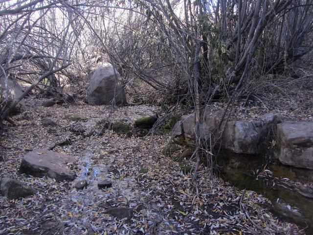 Cow Spring