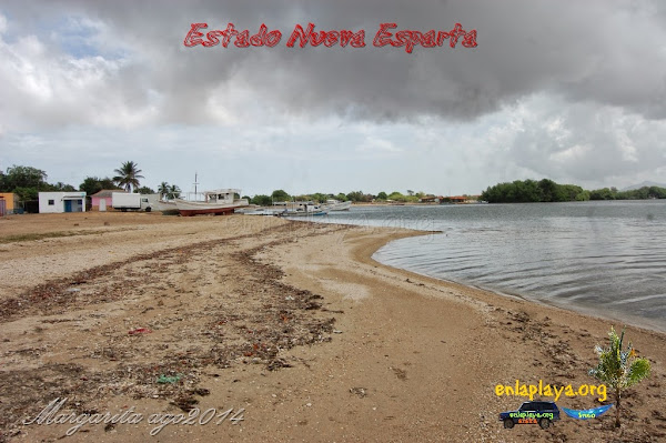 Playa Laguna La Raya NE121, Estado Nueva Esparta, Tubores