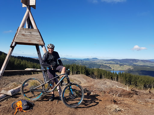 Whakarewarewa Forest