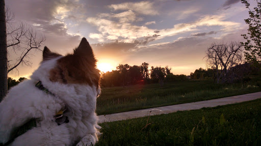 Park «Red-tailed Hawk Park», reviews and photos, 23701 E Hinsdale Way, Aurora, CO 80016, USA