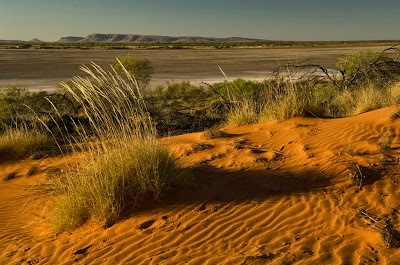 (ALL RIGHTS, ALL USES) Red parallel dunes, large salt lakes, clay pans, undulating calcareous plains and paleo-drainage channels are the distinct and dramatic landforms of the Australian Wildlife Conservancy's Newhaven Sanctuary.  Newhaven is the third largest non-government nature reserve in Australia (262,000 hectares or 650,000 acres), located within the Great Sandy Bioregion of the Northern Territory (Australia's &quot;red center&quot;). PHOTO CREDIT: ©Mark Godfrey/TNC