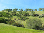 Views from Hardy Canyon Trail