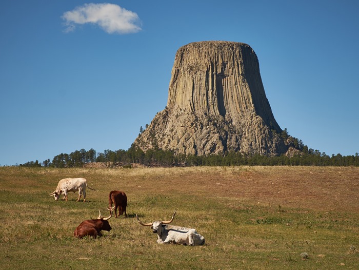 devils_tower_longhorns