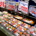 sushi on sale in tokyo in Tokyo, Japan 
