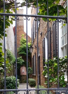 Courtyard Garden