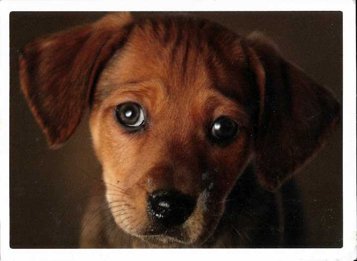 Почта за 28.08, часть первая, ученическая!