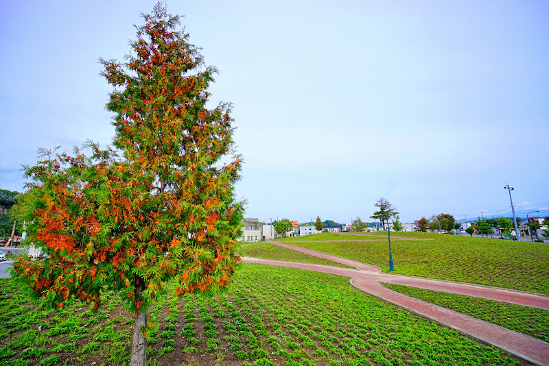 美瑛 花人公園 写真3