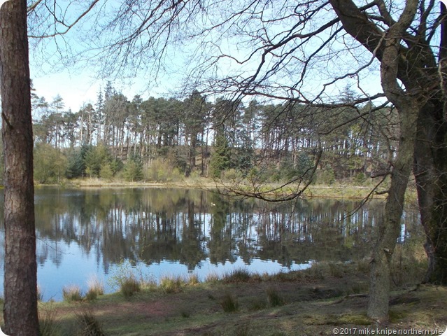 muncaster 009