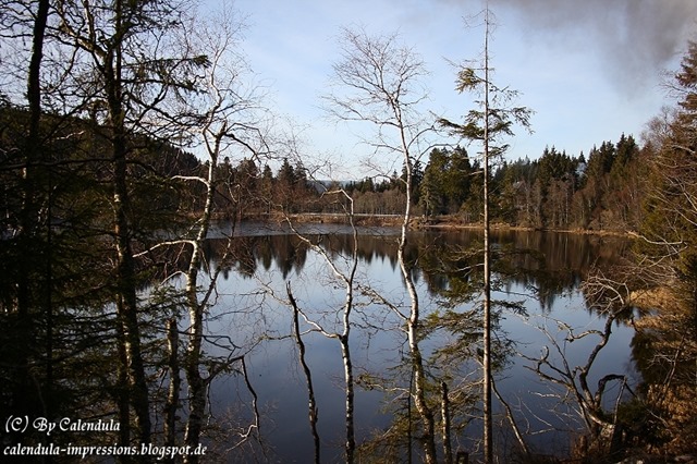 Windgfällweiher vom Zug aus gesehen