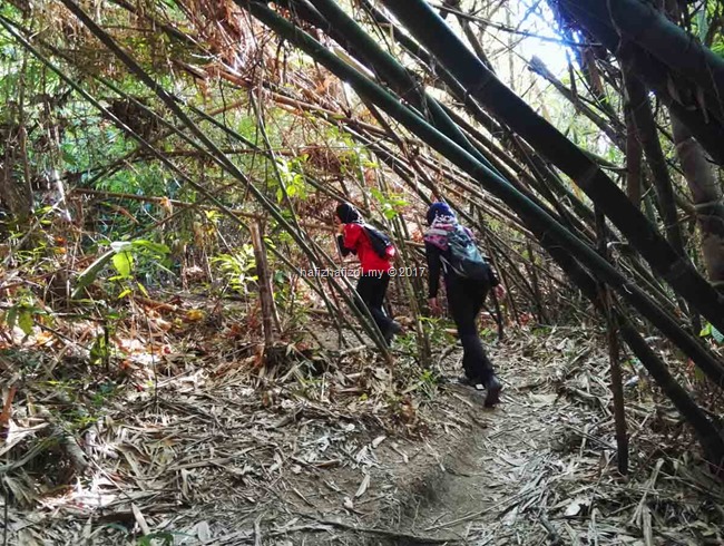 hiking di bukit batu condong hiking di bukit batu condong