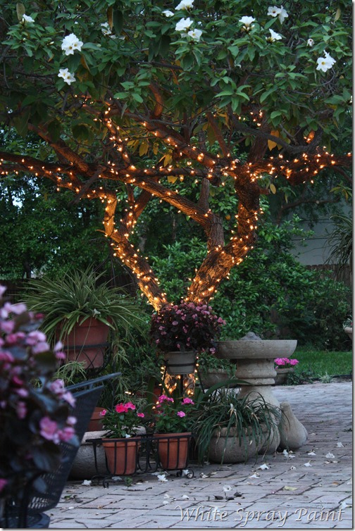 Patio Lights