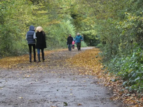 Autumn leaves, autumn coats on an autumn walk