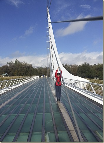 Redding River Walk & Sun Dial Bridge Rockey