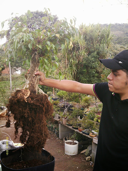 Visita do Leonardo de Friburgo... IMAG0050