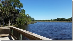 View from dock