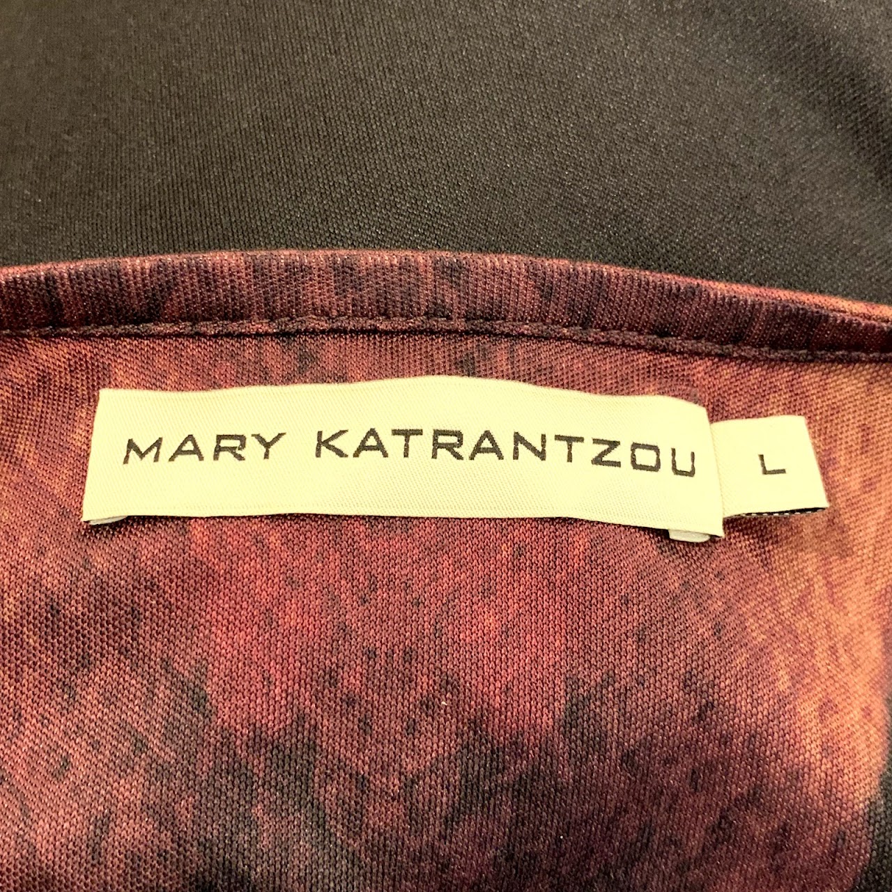 Mary Katrantzou Dress