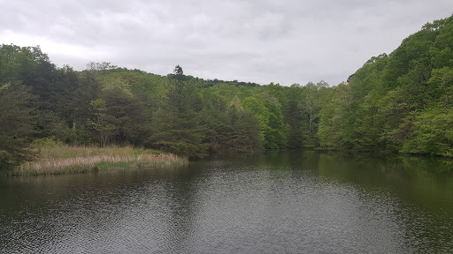 Nature Preserve «Jefferson Memorial Forest», reviews and photos, 11311 Mitchell Hill Rd, Fairdale, KY 40118, USA