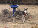 Another of Kahlua Another of Kahlua
