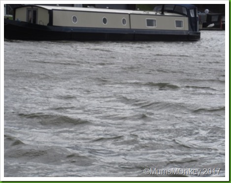 storm doris 3